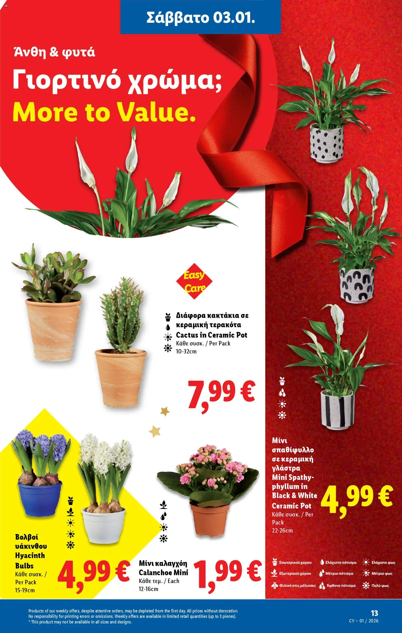 Lidl - Φυλλάδιο – σε ισχύ από 31.12.2025 | Σελίδα: 41