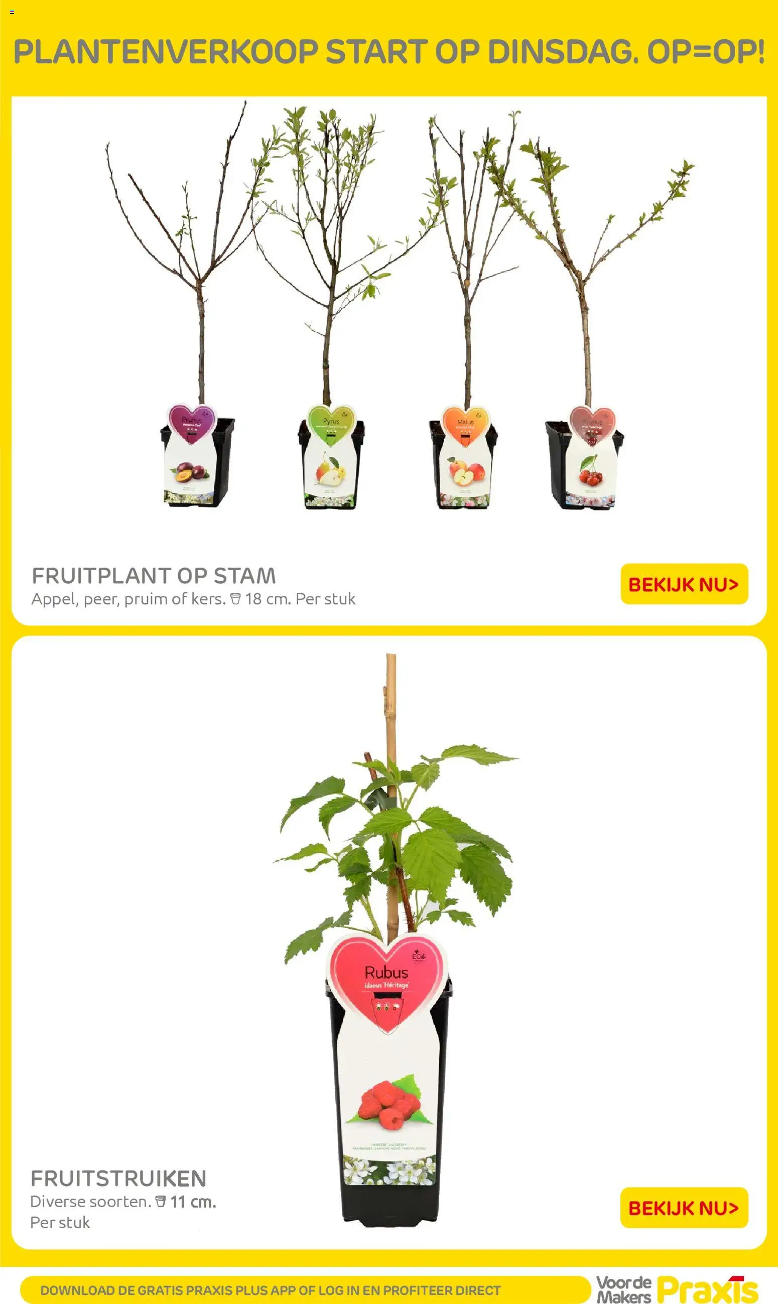 {H1} | Pagina: 49 | Producten: Pruim