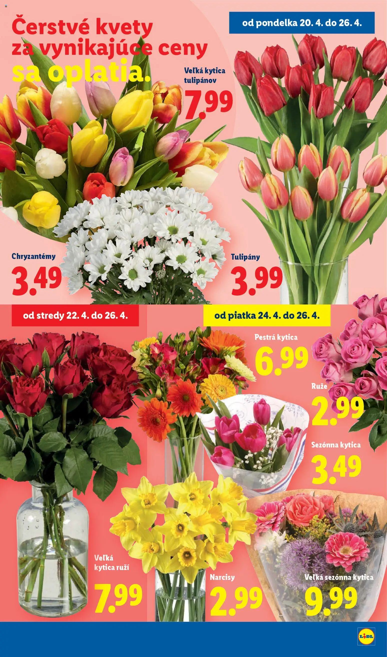 Nové Lidl akcie – leták je platný od 20.04.2026 | Strana: 41 | Produkty: Kvety, Tulipány, Ruže