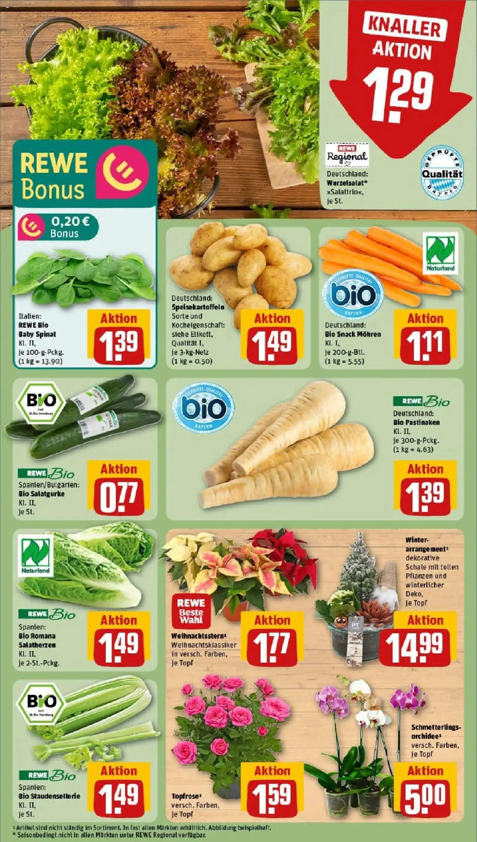 Rewe prospekt Hausham	 – gültig ab 10.11.2025 | Seite: 7 | Produkte: Orchidee, Mohren
