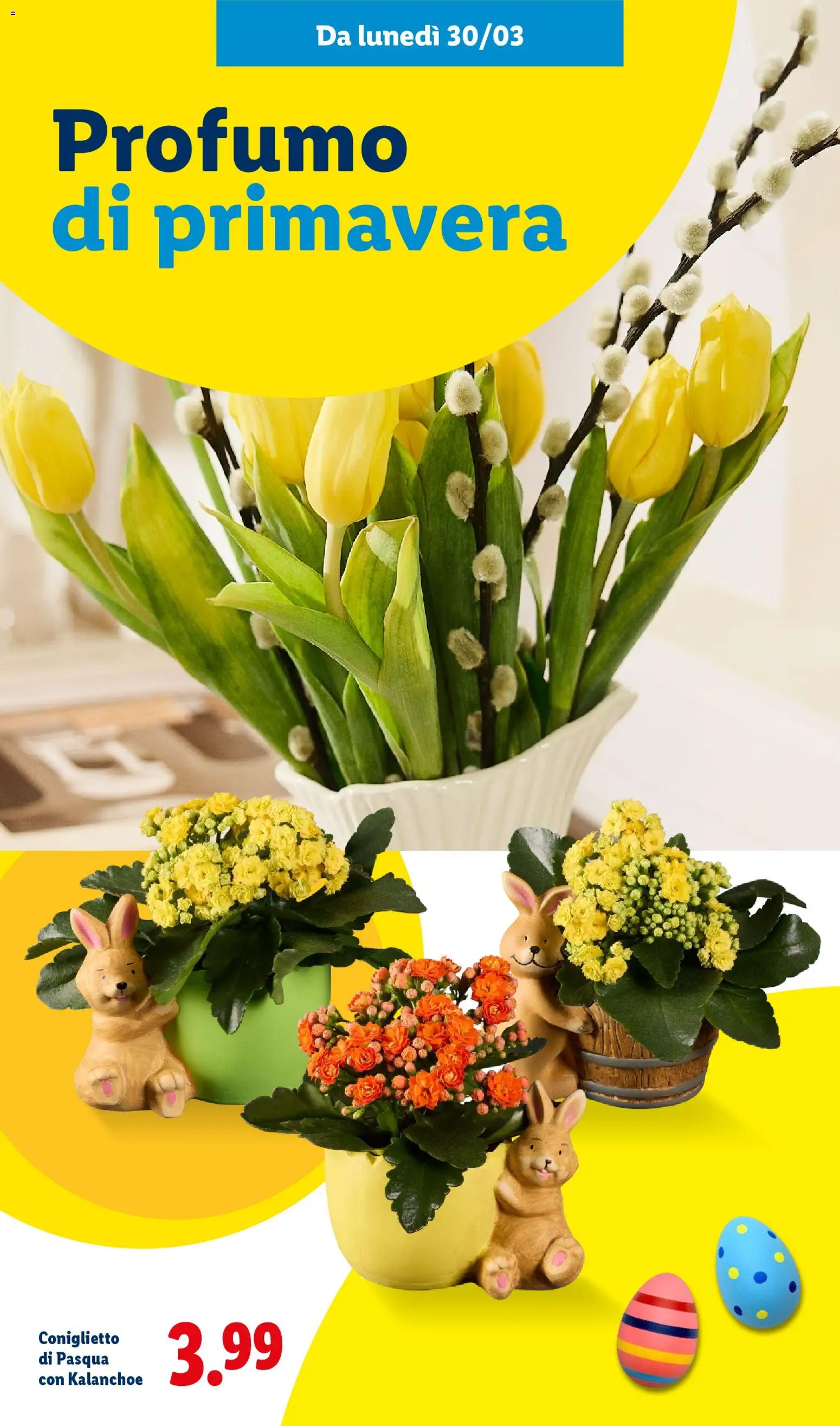 Volantino Lidl del 27.02.2026 | Pagina: 45 | Prodotti: Profumo