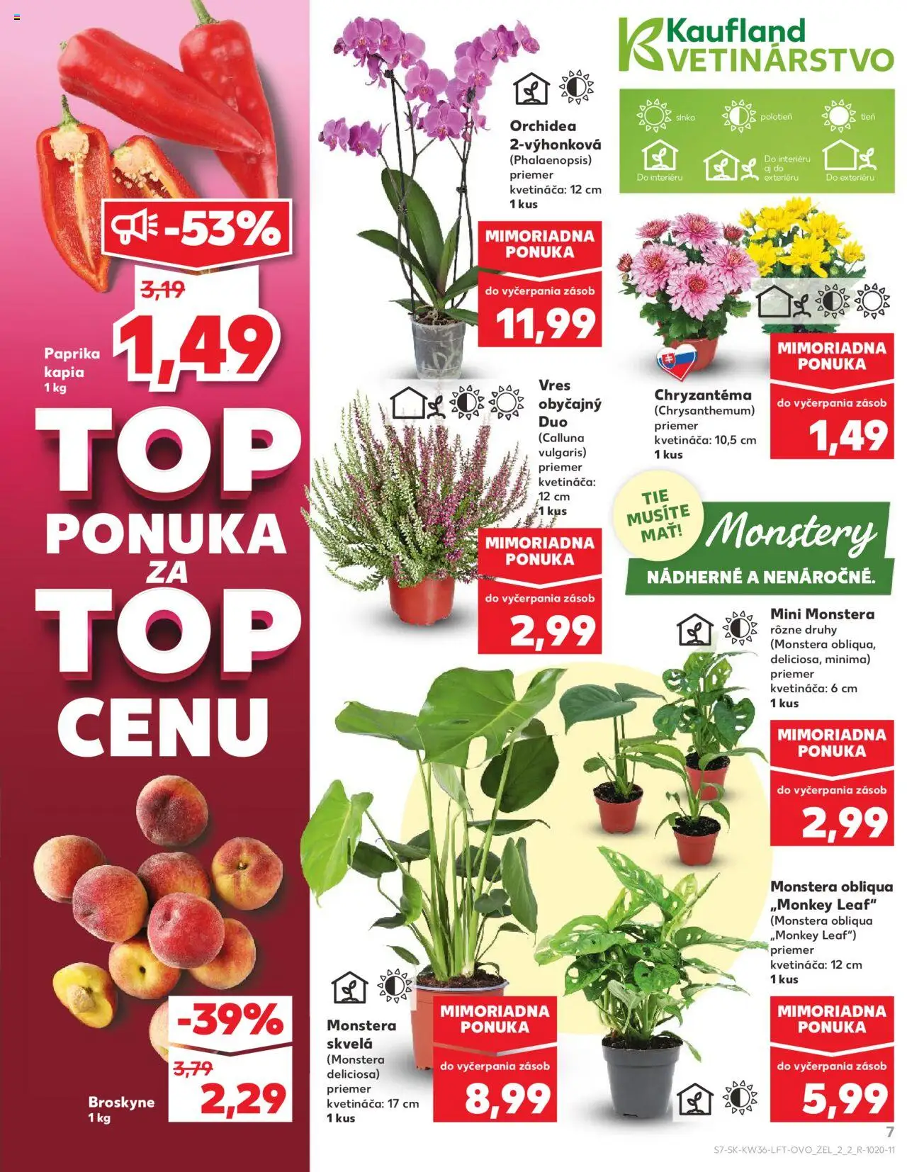 Nové Kaufland akcie – leták je platný od 04.09.2025 | Strana: 7 | Produkty: Paprika, Orchidea, Broskyne, Kápia