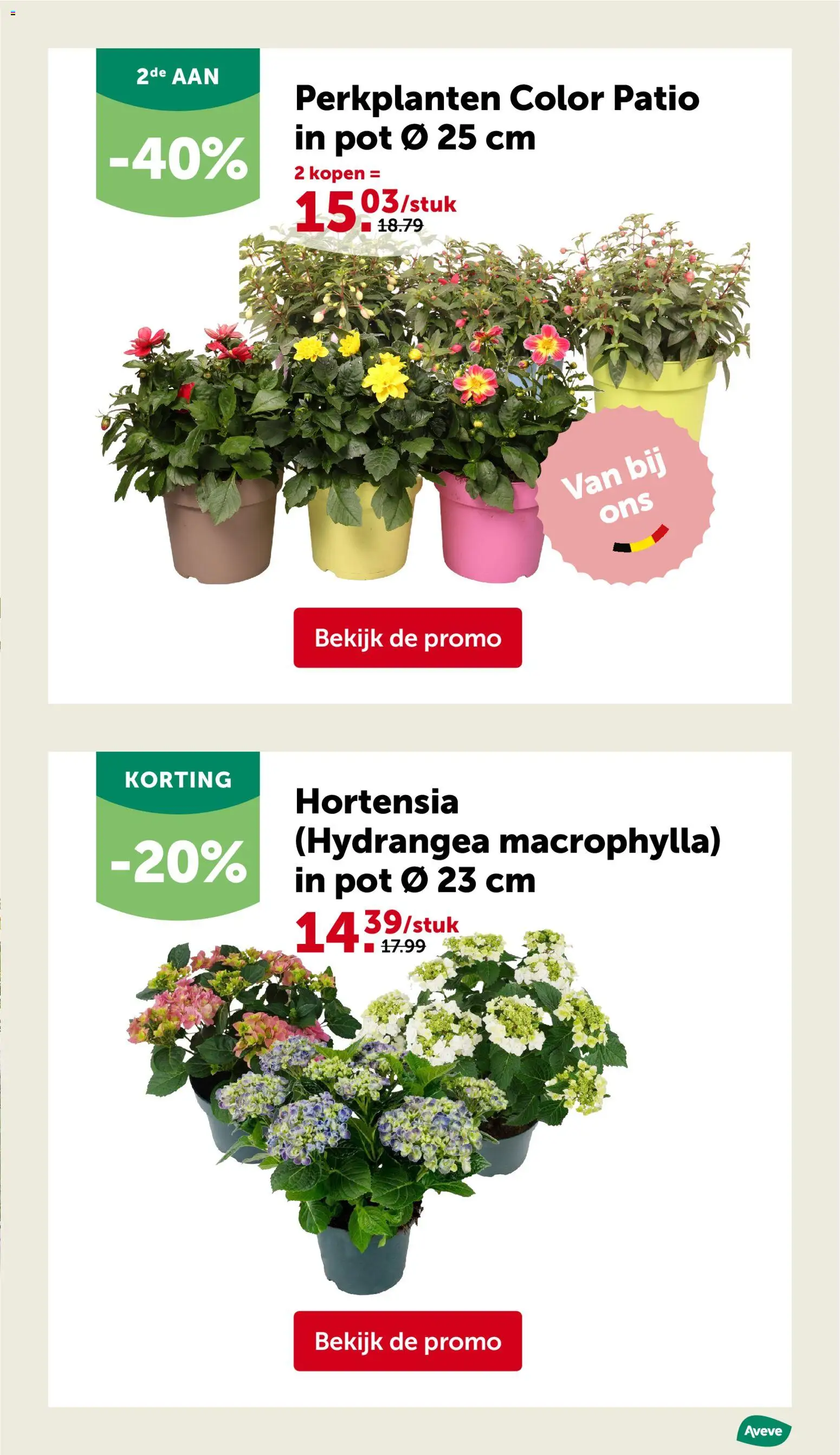 {H1} | Pagina: 13 | Producten: Pot