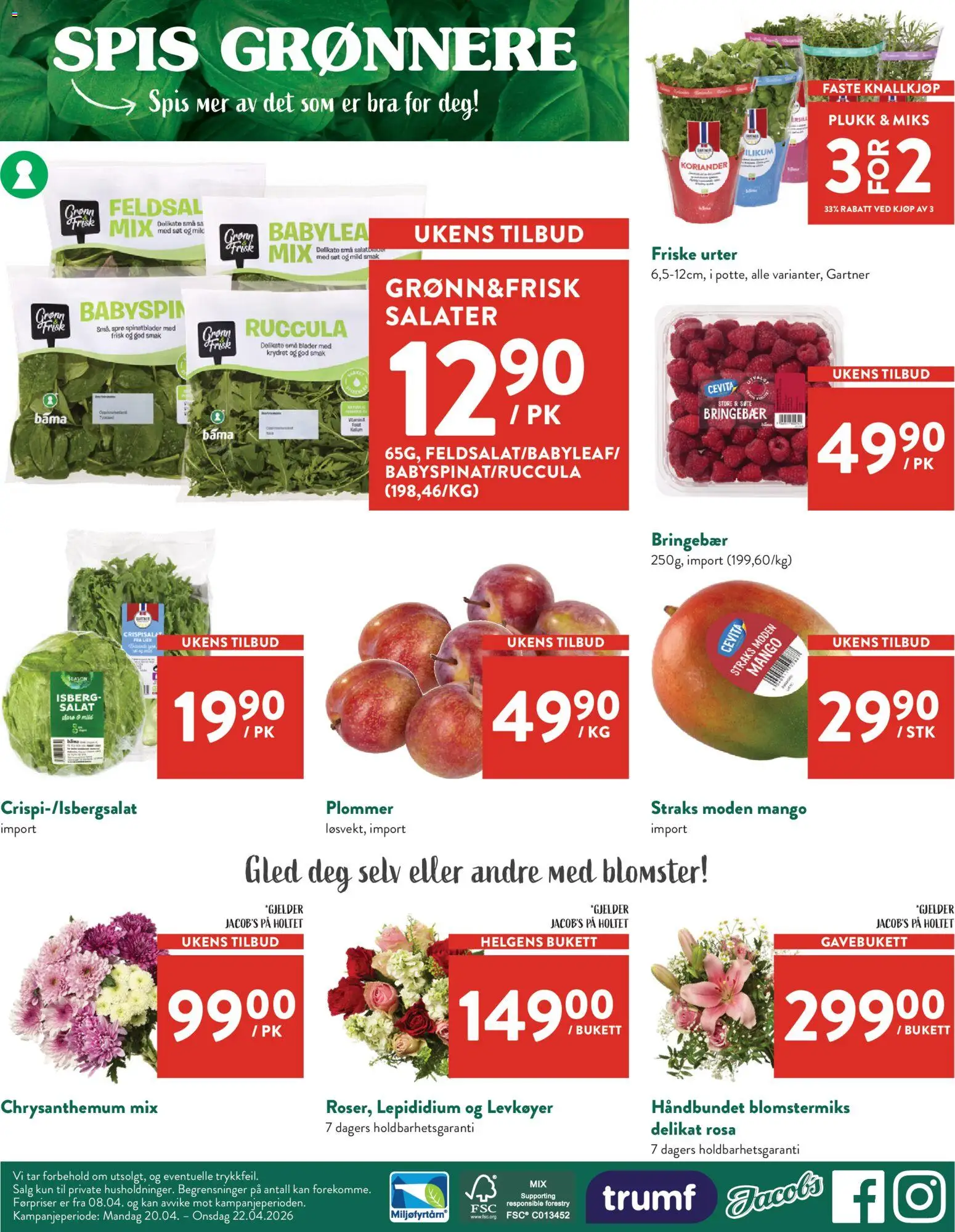 {H1} | Side: 4 | Produkter: Salat, Bringebær, Суміш дитяча, Cremă pentru față