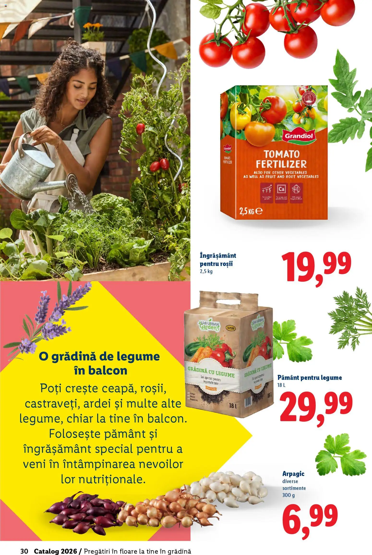 Noul catalog Lidl – valabil de la 19.02.2026 | Pagină: 30 | Produse: Ardei, Roșii, Legume