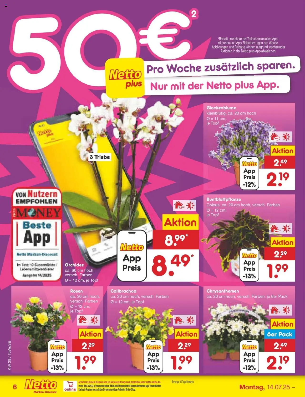 Netto Marken-Discount prospekt Calw-Stammheim	 - gültig ab dem 13.07.2025 | Seite: 6 | Produkte: Orchidee