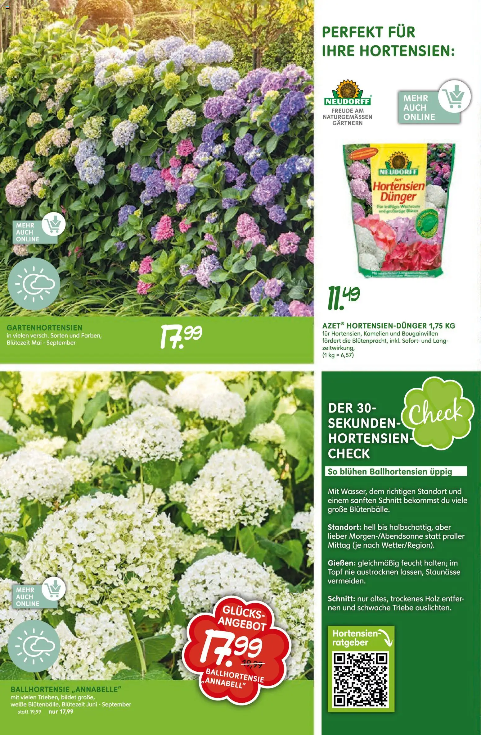 Blumen Risse Prospekt Blumenmarkt – gültig ab 16.04.2026 | Seite: 10