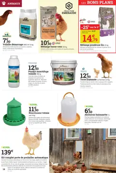 Espace Emeraude - Prévisualisation de Espace Emeraude catalogue Avril en action valide à partir de 08.04.2026 | Page: 14