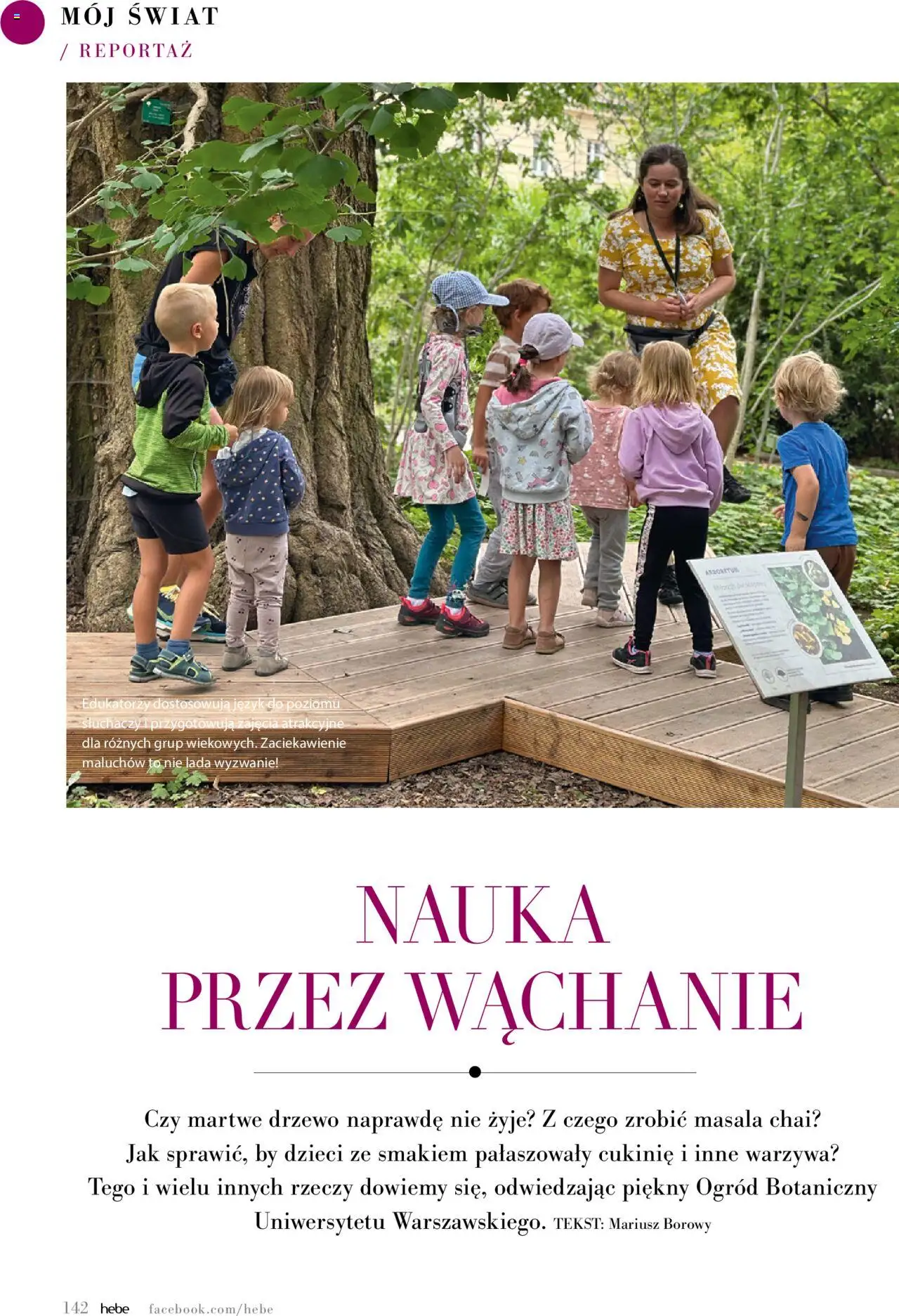 Hebe Gazetka - Magazyn od 01.05.2025 | Strona: 142 | Produkty: Warzywa