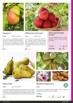 Náhled letáku Starkl katalog od 25.02.2026 | Strana: 121