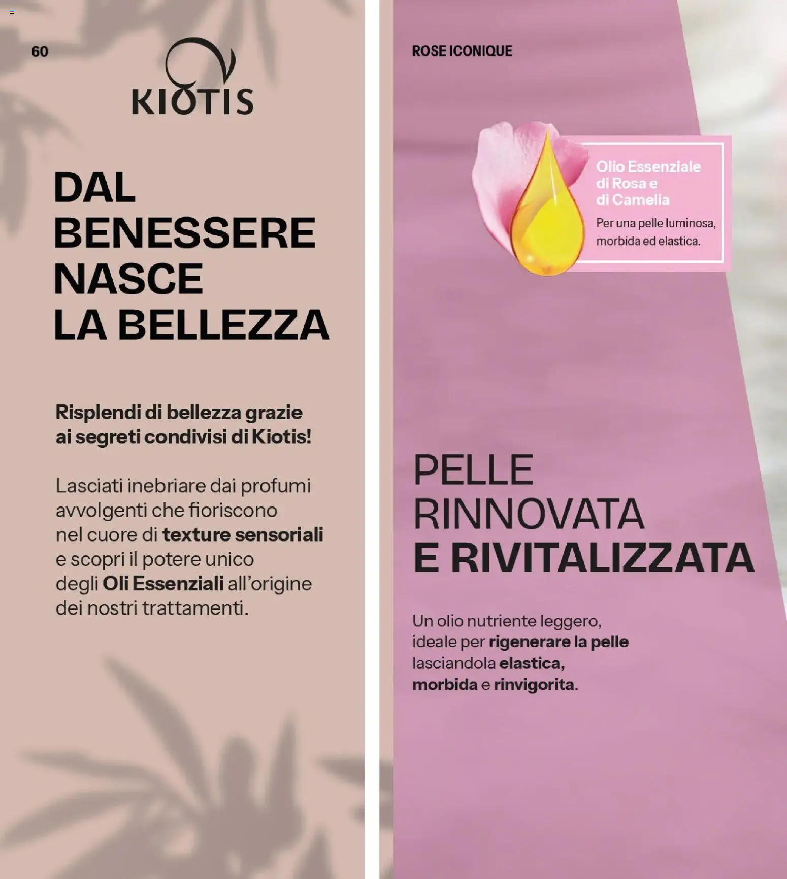 Volantino Stanhome del 10.03.2026 | Pagina: 60