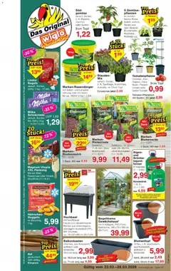 Wiglo Wunderland Prospekt ab 23.03.2026 gültig