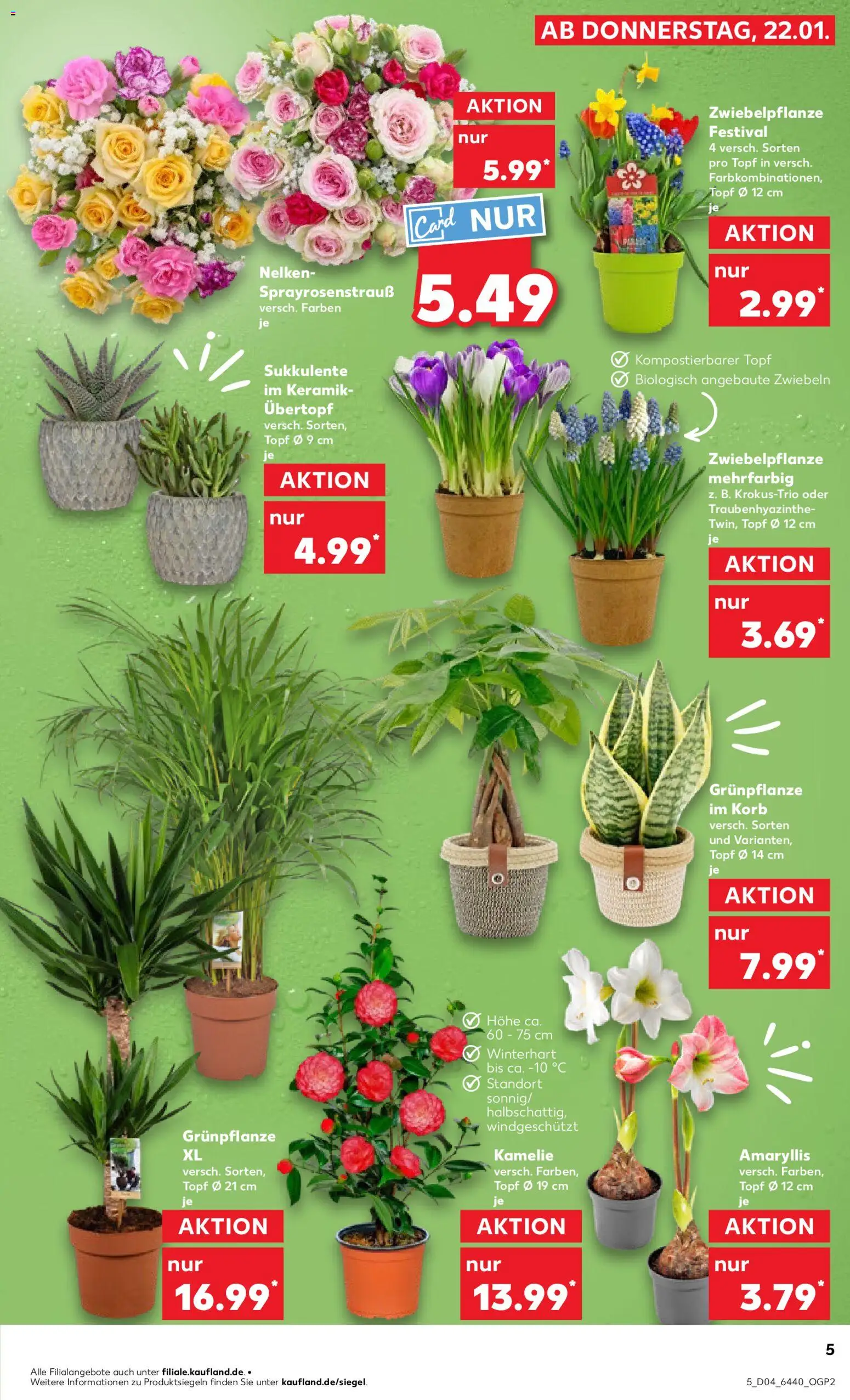 Kaufland prospekt Hannover	 – gültig ab 22.01.2026 | Seite: 5 | Produkte: Korb, Zwiebeln