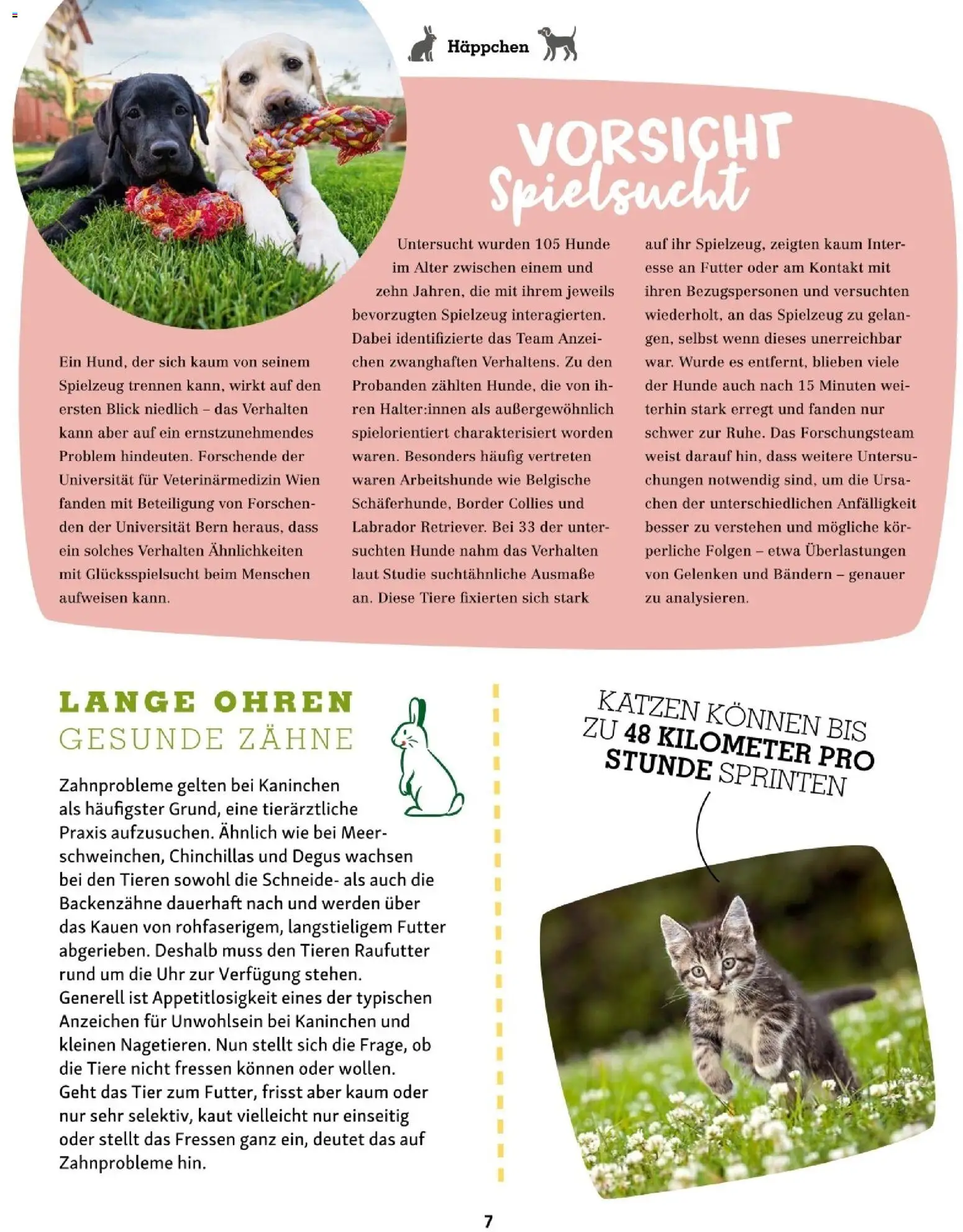 Fressnapf Friends 02/26 gültig ab 01.03.2026 | Seite: 7 | Produkte: Uhr