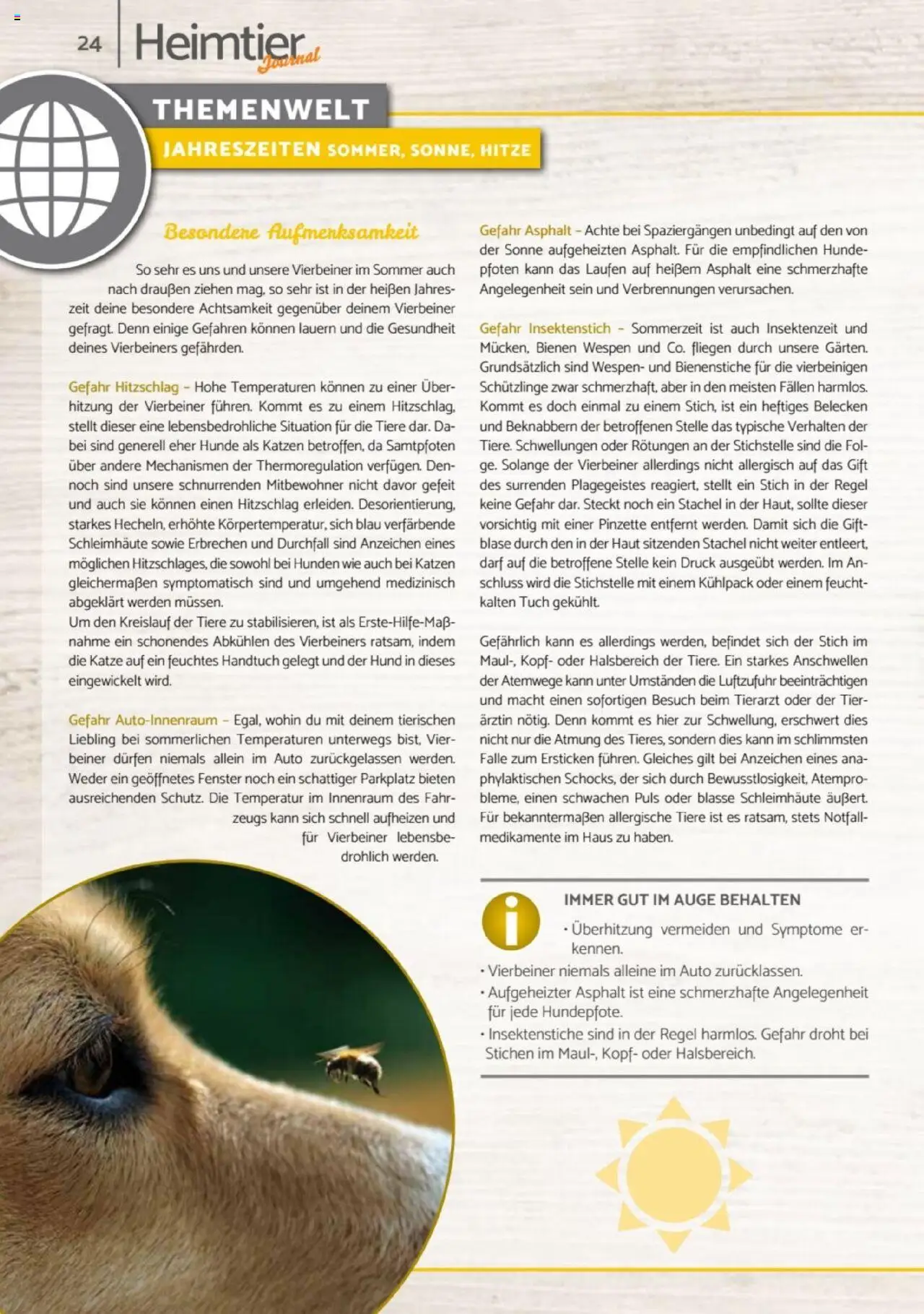 zookauf  Heimtier Journal - gültig ab dem 21.07.2025 | Seite: 24 | Produkte: Pinzette