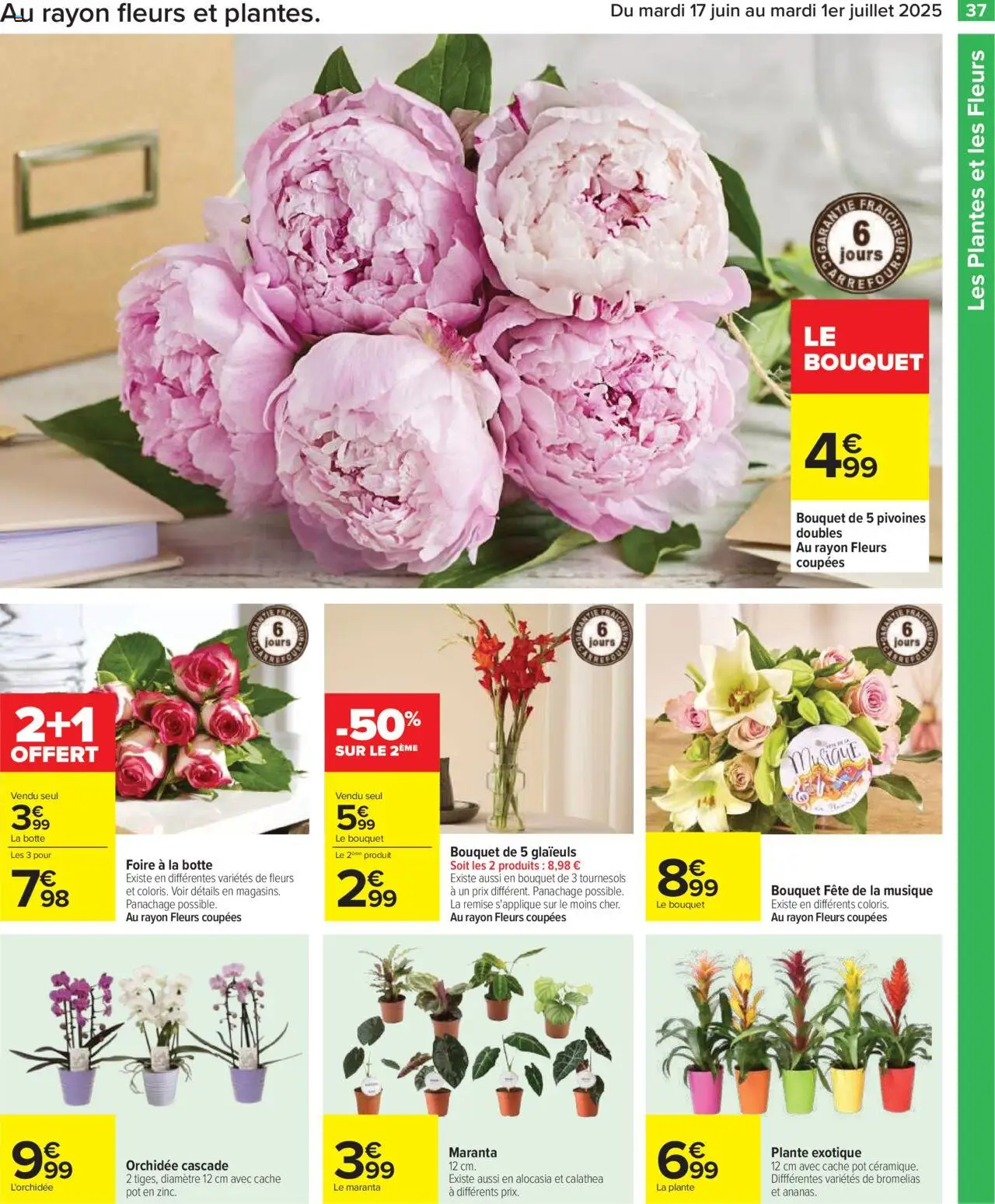  | Page: 39 | Produits: L'orchidée, Plantes, Orchidée
