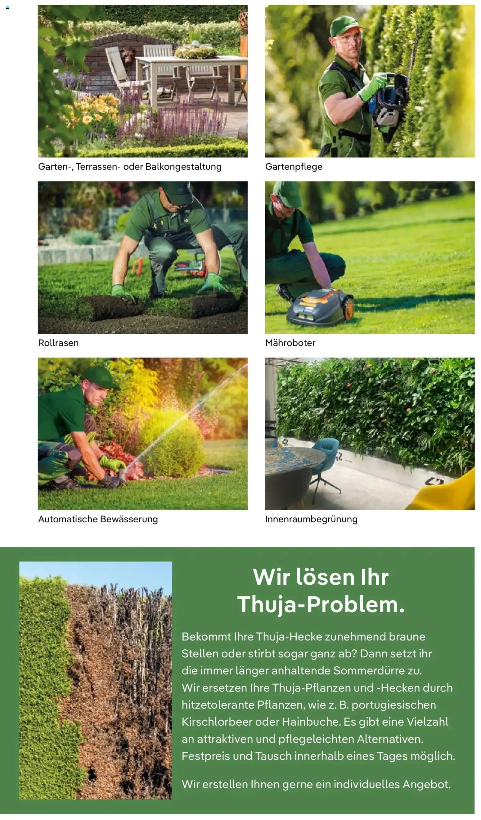 Pflanzen-Kölle Prospekt Hamburg – gültig ab 09.02.2026 | Seite: 11