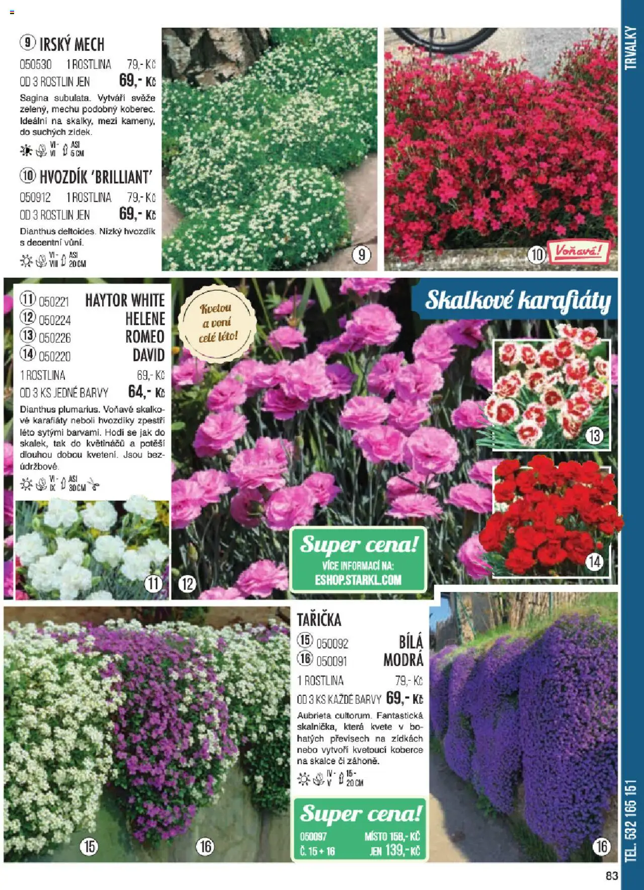 Starkl katalog jaro 2024 od 06.01.2025 | Strana: 83 | Produkty: Koberce, Barvy
