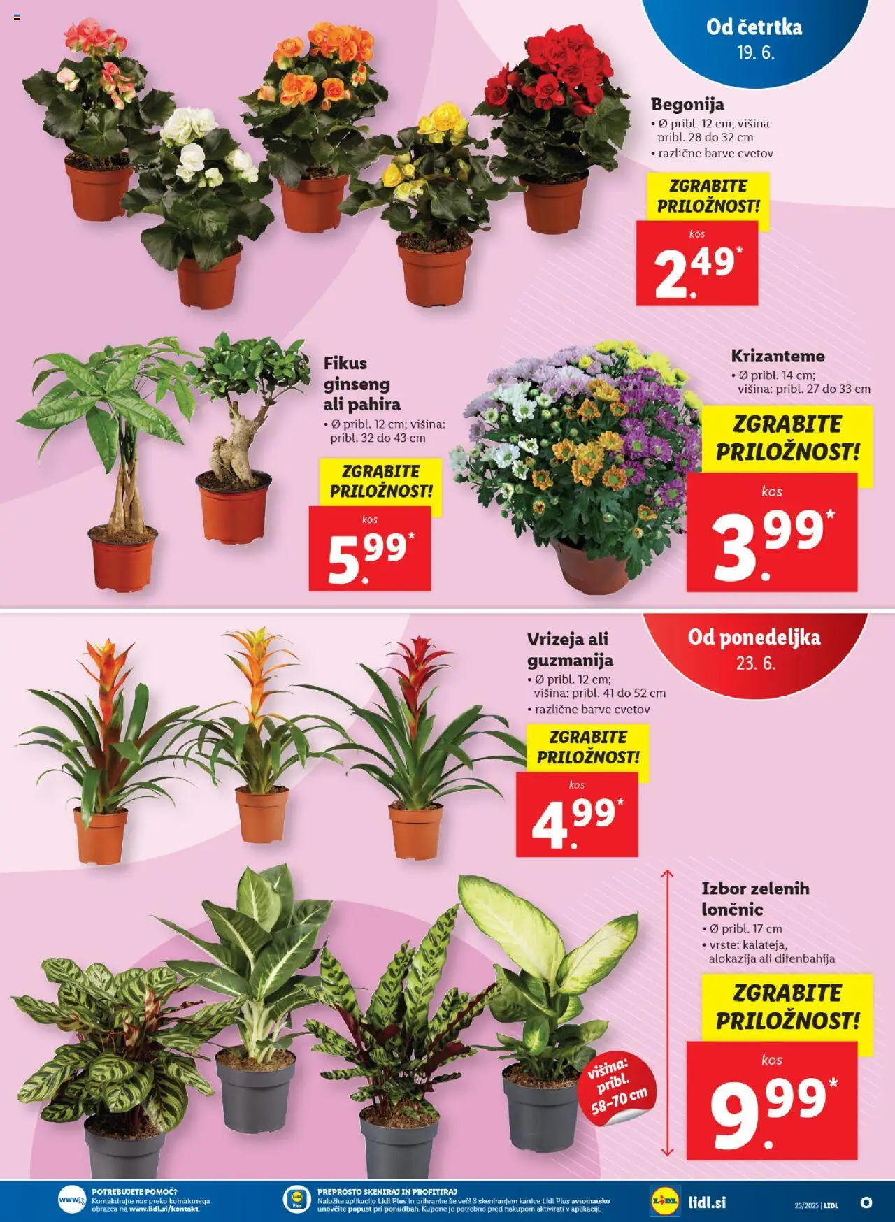 Lidl katalog │ velja od 19.06.2025 | Stran: 35