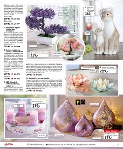 Náhled letáku Velký Košík katalog únor 2026 od 01.02.2026 | Strana: 17