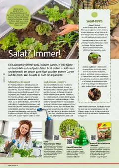 Bauhaus Reiche Ernte Magazin 2025 ab 01.07.2025 gültig | Seite: 28 | Produkte: Salat, Gemüse