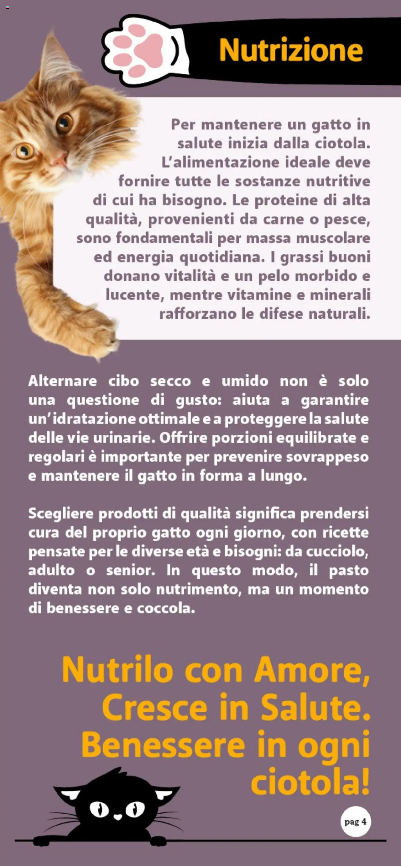 Volantino DOK del 26.09.2025 | Pagina: 4 | Prodotti: Ciotola