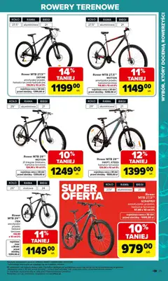 Pogląd oferty "Carrefour gazetka - Ogród" - ważna od 02.03.2026 | Strona: 35 | Produkty: Rower