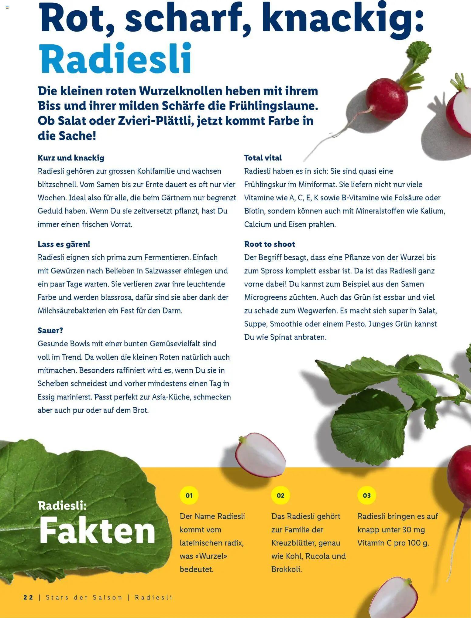 Lidl Aktionen Ostern – gültig ab 26.02.2026 | Seite: 22 | Produkte: Essig, Rucola, Salat, Eisen