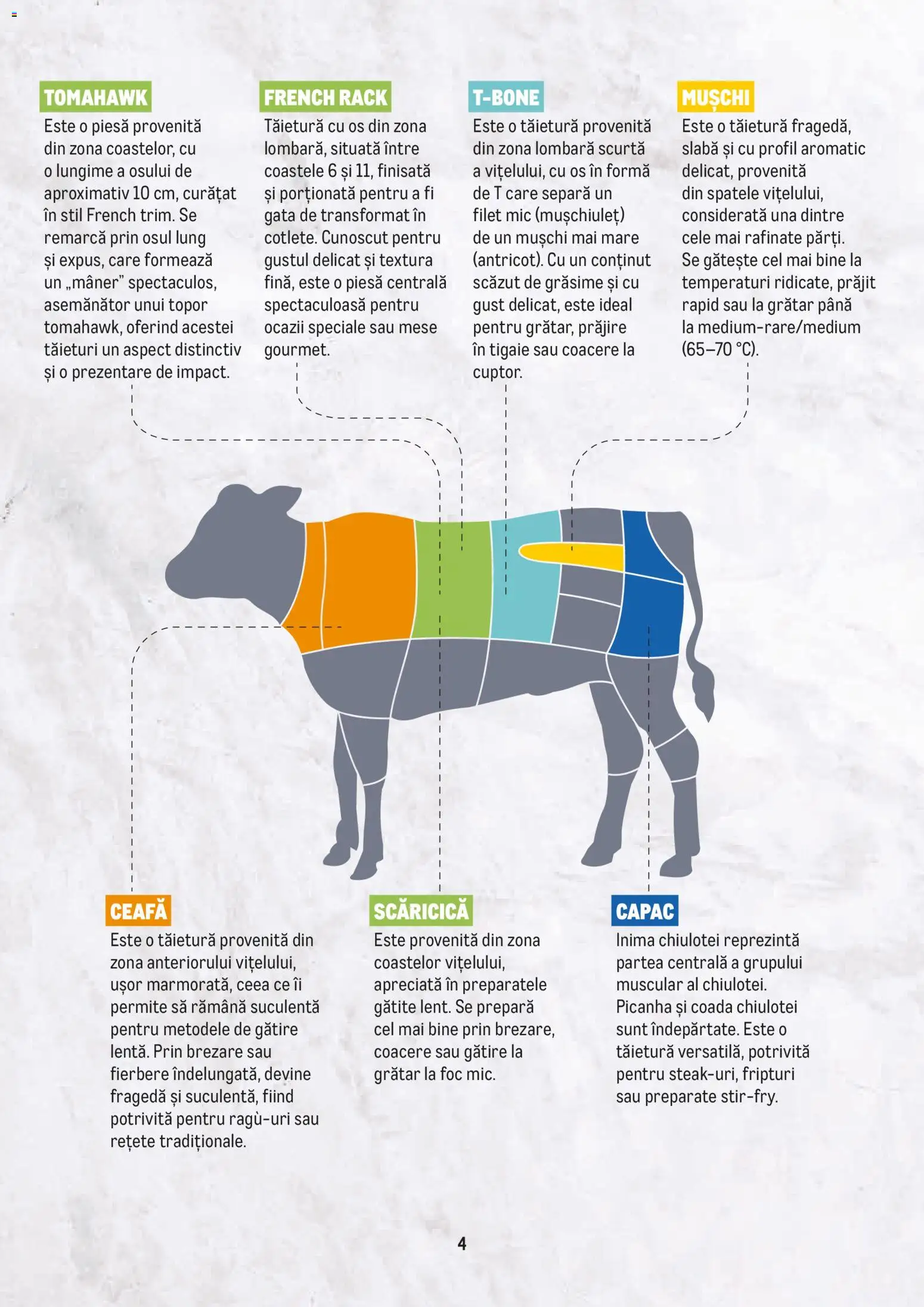 Noul catalog Metro – valabil de la 23.02.2026 | Pagină: 4 | Produse: Tigaie, Grătar