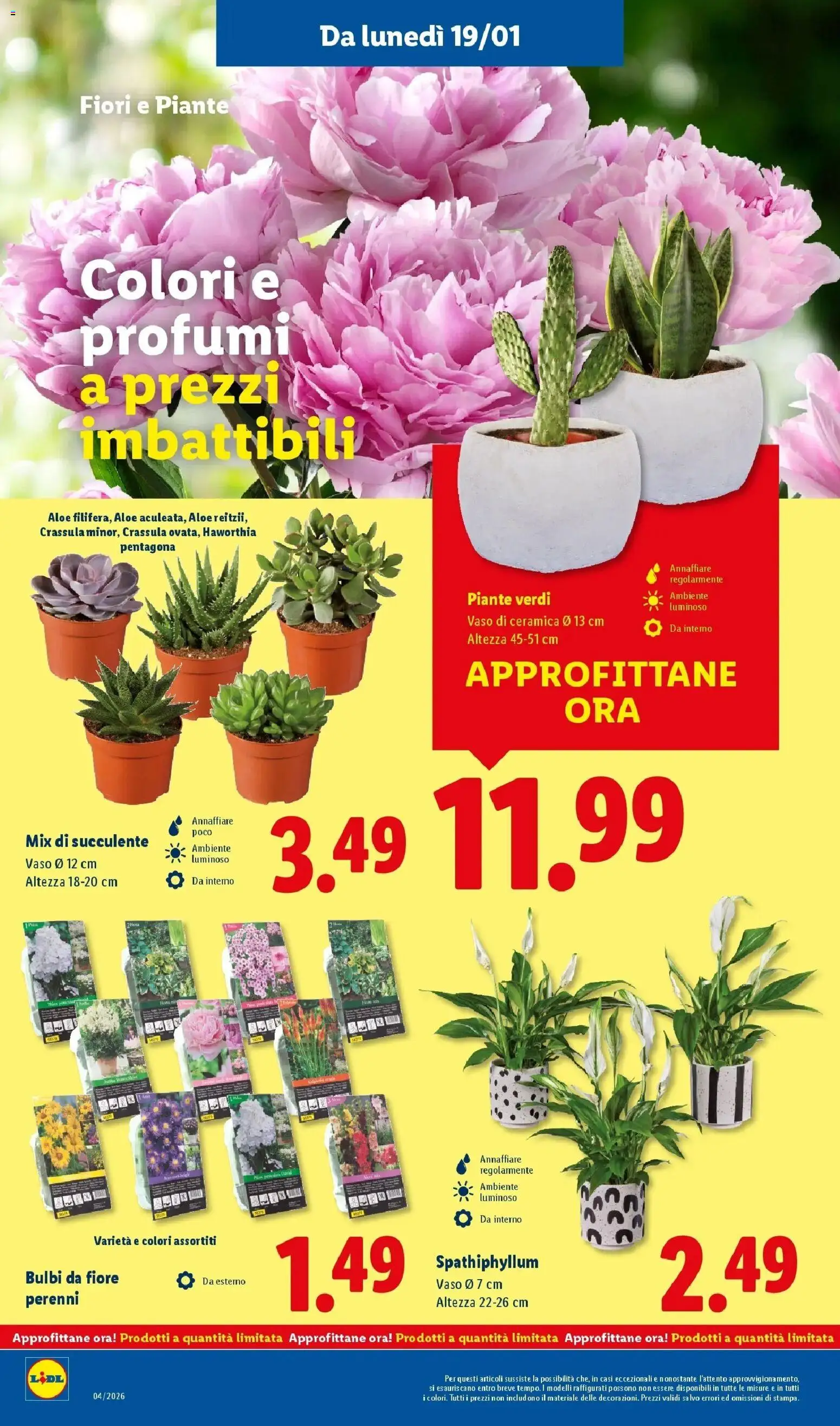 Volantino Lidl del 15.01.2026 | Pagina: 38 | Prodotti: Vaso