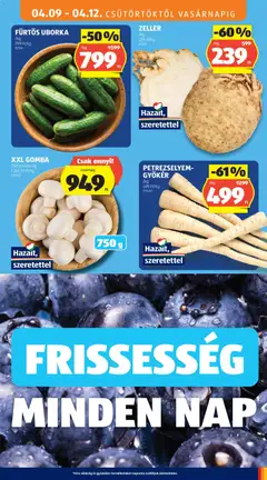FÜRTÖS UBORKA, Uborka - amely érvényes a következő dátumtól: 09.04.2026 | Oldal: 9