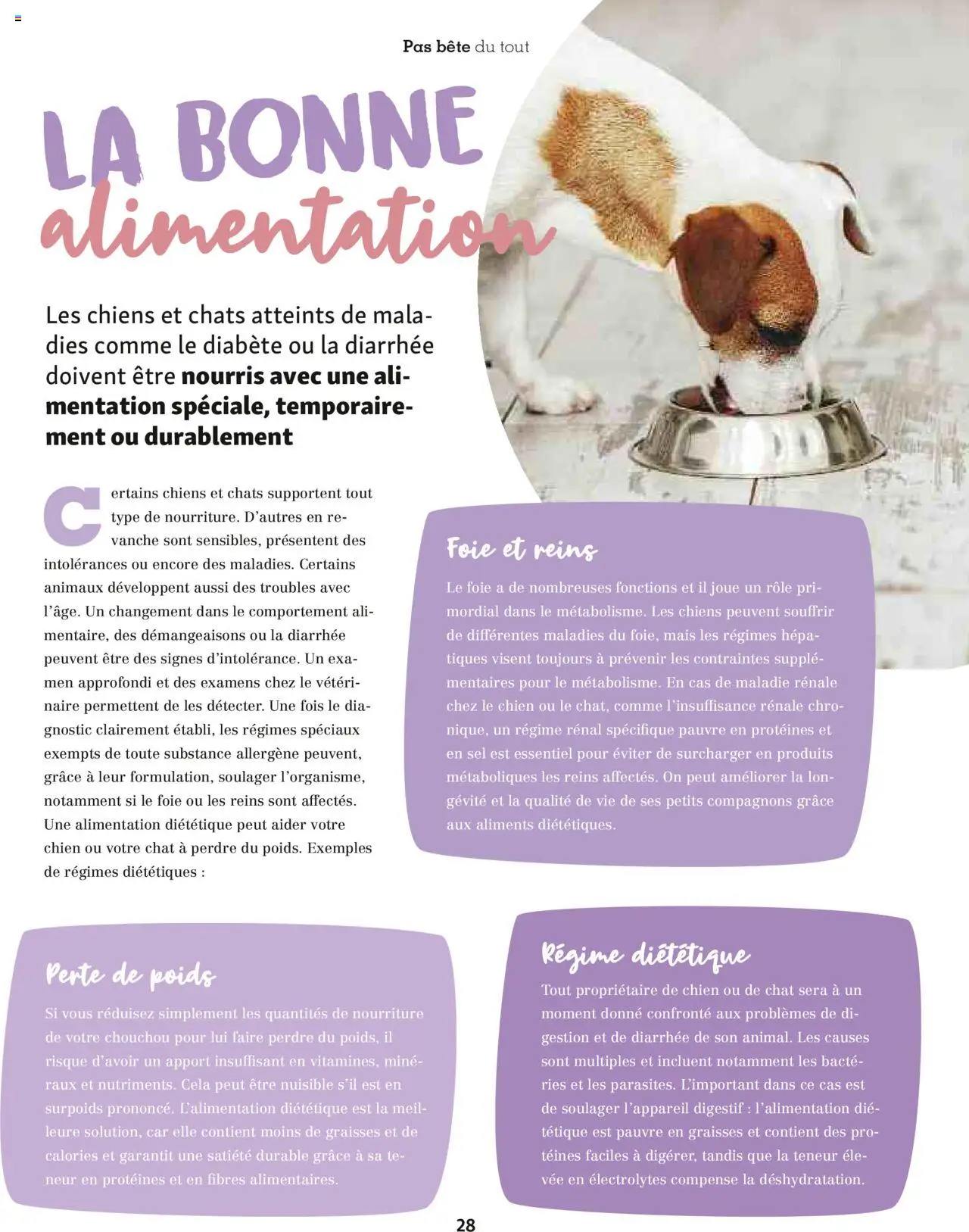  | Page: 28 | Produits: Poids, Chouchou, Mais, Digestif