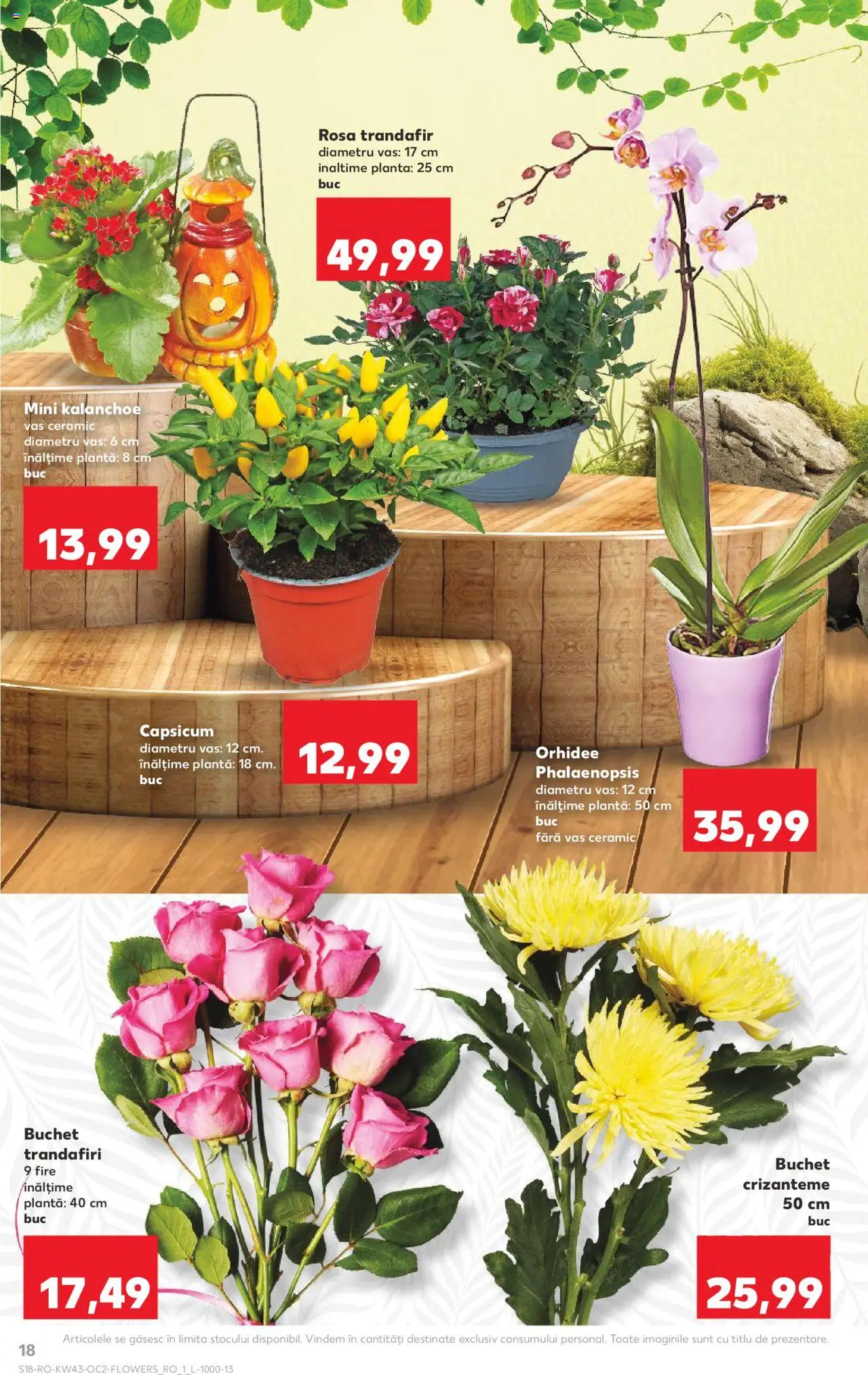Noul catalog Kaufland – valabil de la 22.10.2025 | Pagină: 18 | Produse: Trandafir, Orhidee