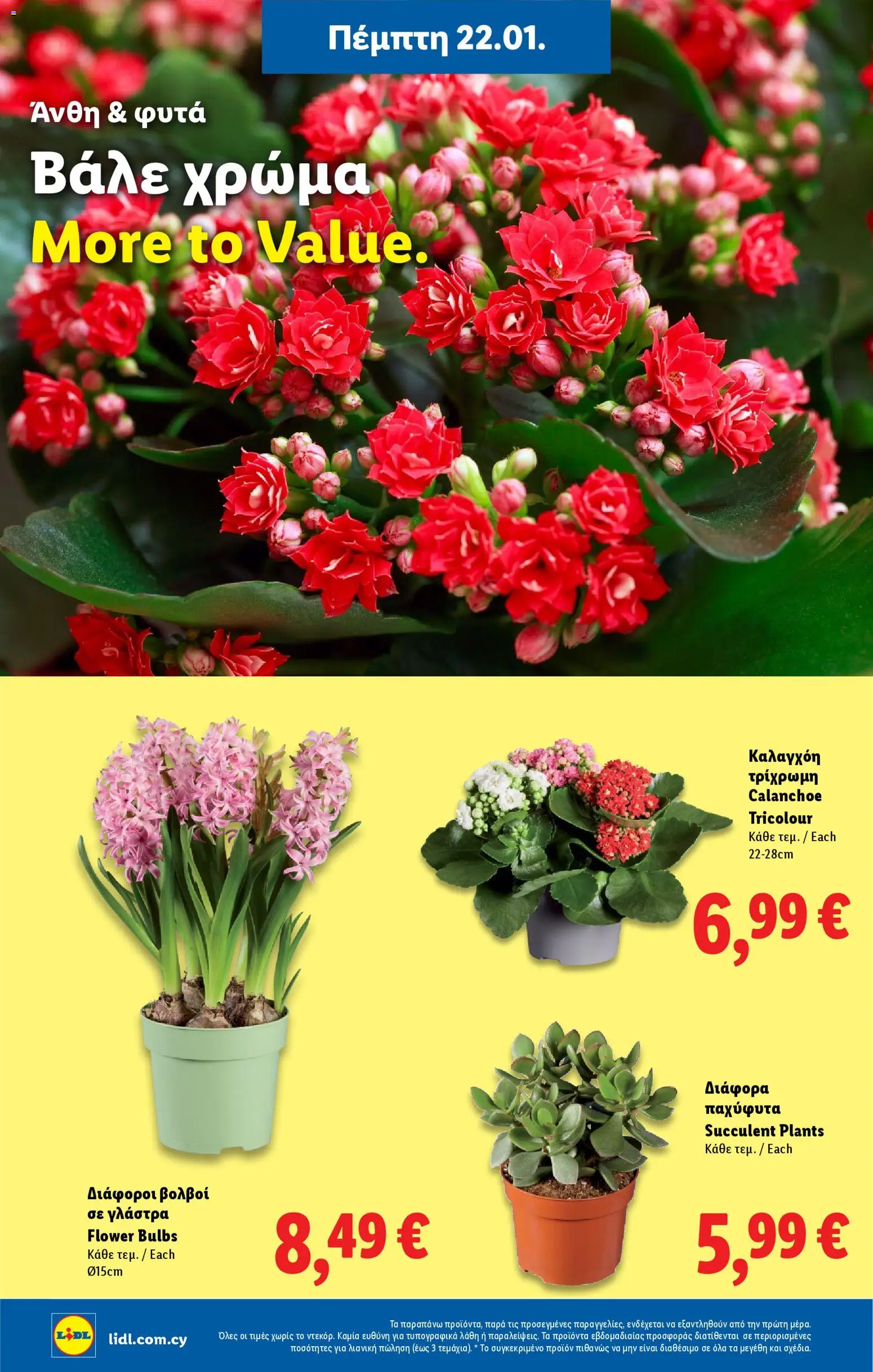 Lidl - Φυλλάδιο – σε ισχύ από 22.01.2026 | Σελίδα: 52