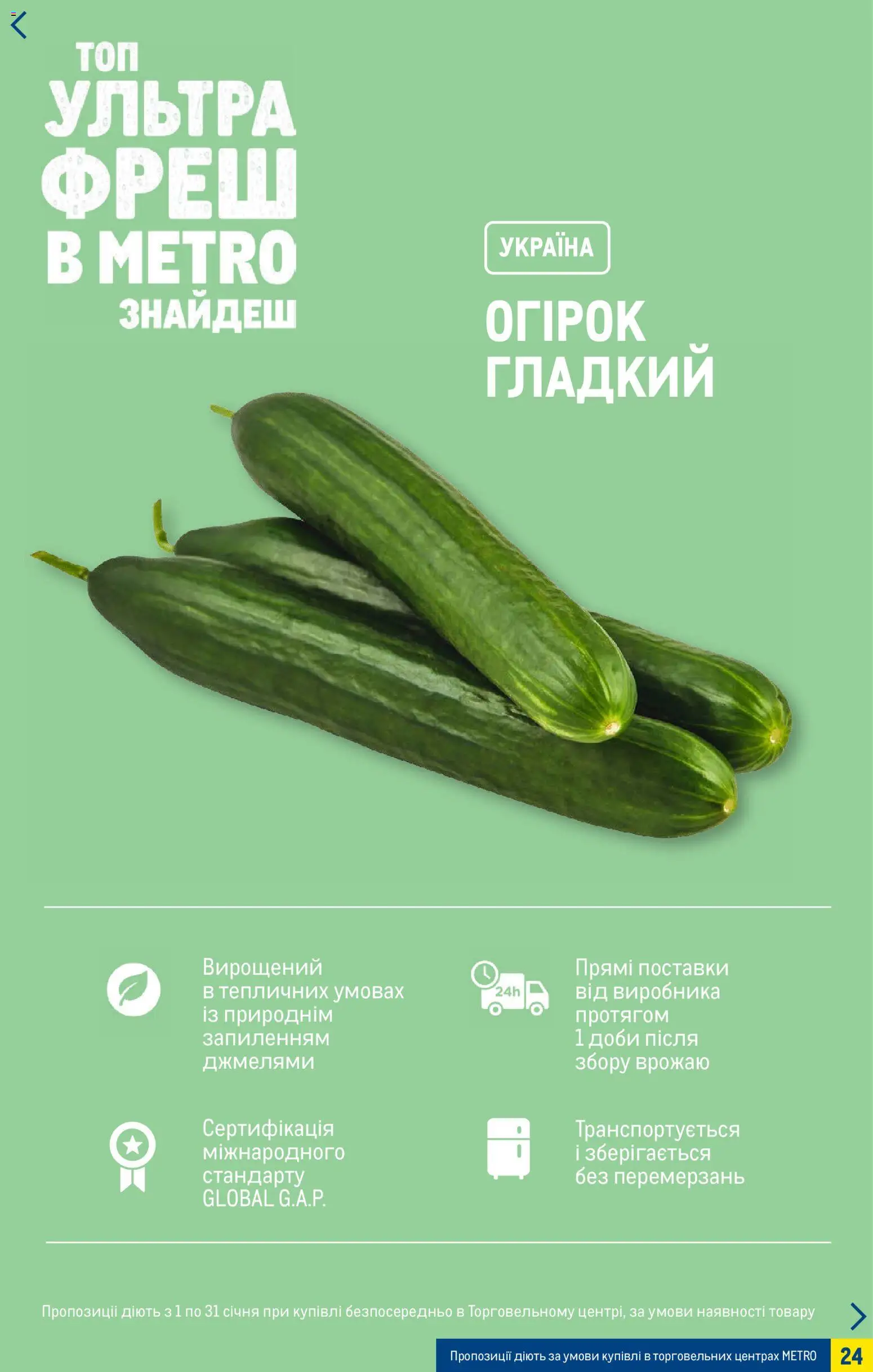 Metro Kаталог - дійснийкції з 07.01.2026 | Сторінка: 24