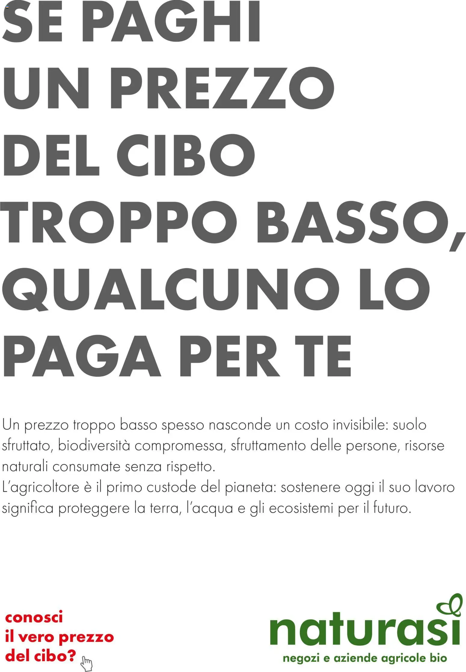 Volantino Natura Sì del 04.03.2026 | Pagina: 42 | Prodotti: Tè