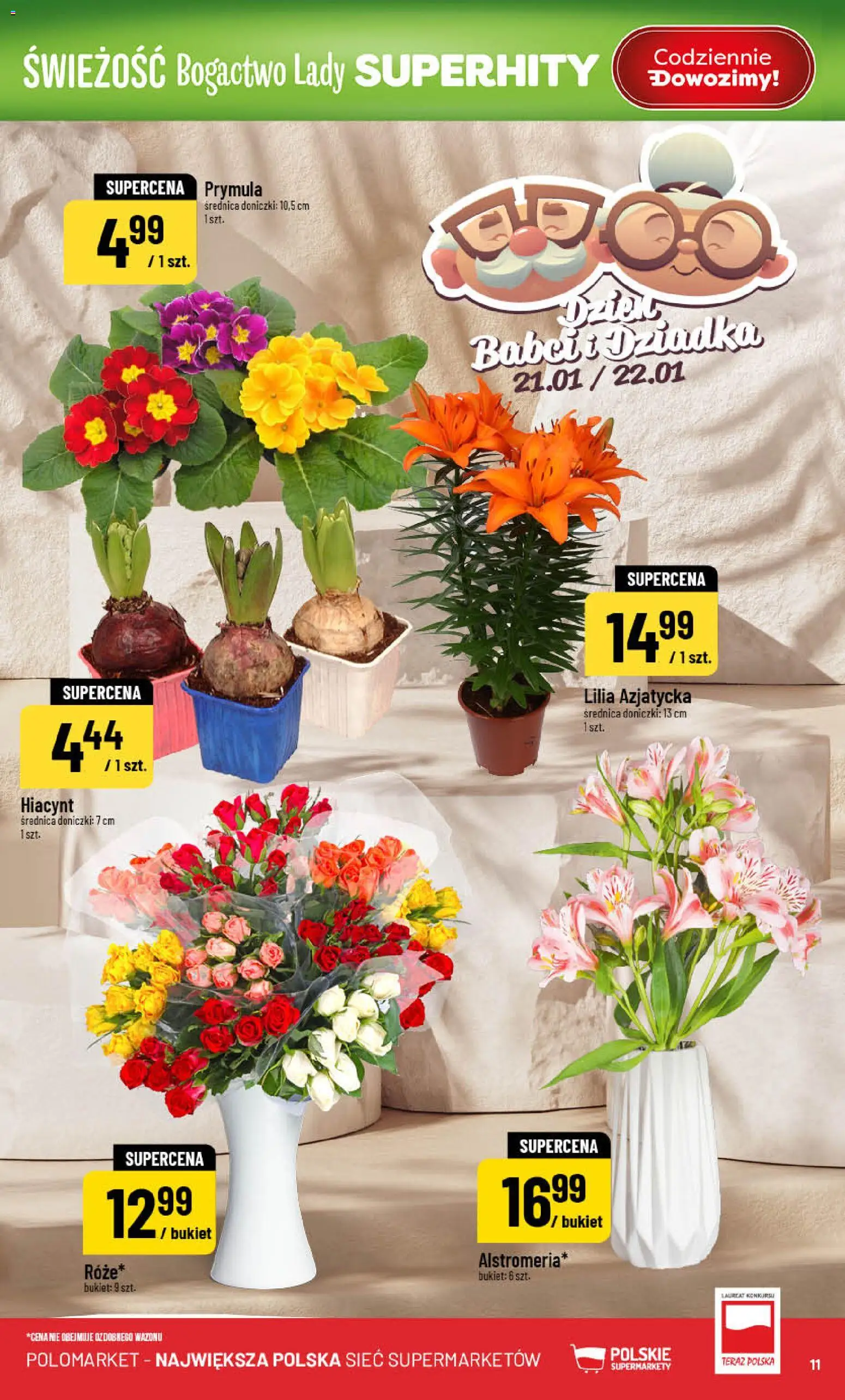 POLOmarket Gazetka od 21.01.2026 | Strona: 11 | Produkty: Doniczki