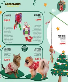 Anteprima del volantino Volantino Arcaplanet	 valido a partire dal 15.12.2025 | Pagina: 27