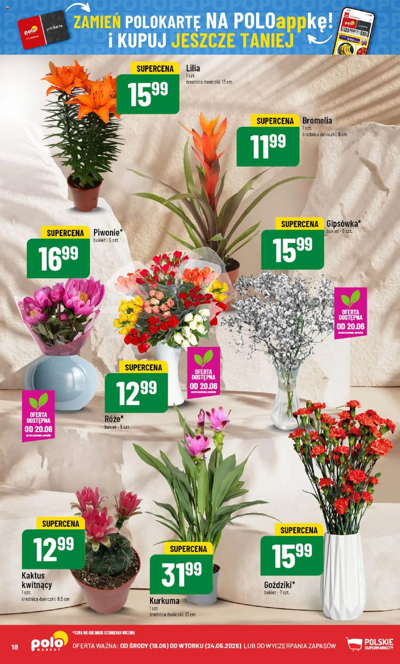 POLOmarket Gazetka od 18.06.2025 | Strona: 18 | Produkty: Kurkuma, Doniczki