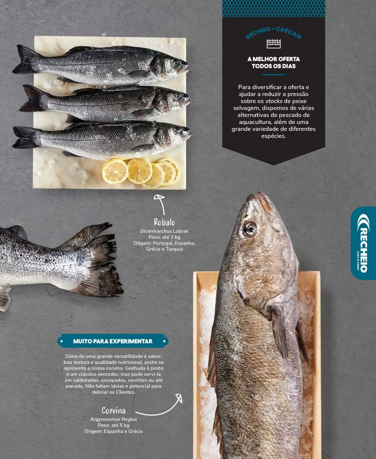 Recheio Peixaria │ válido de 19.09.2024 | Página: 11 | Produtos: Peixe