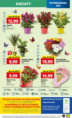 Lidl Gazetka od 28.07.2025 | Strona: 49