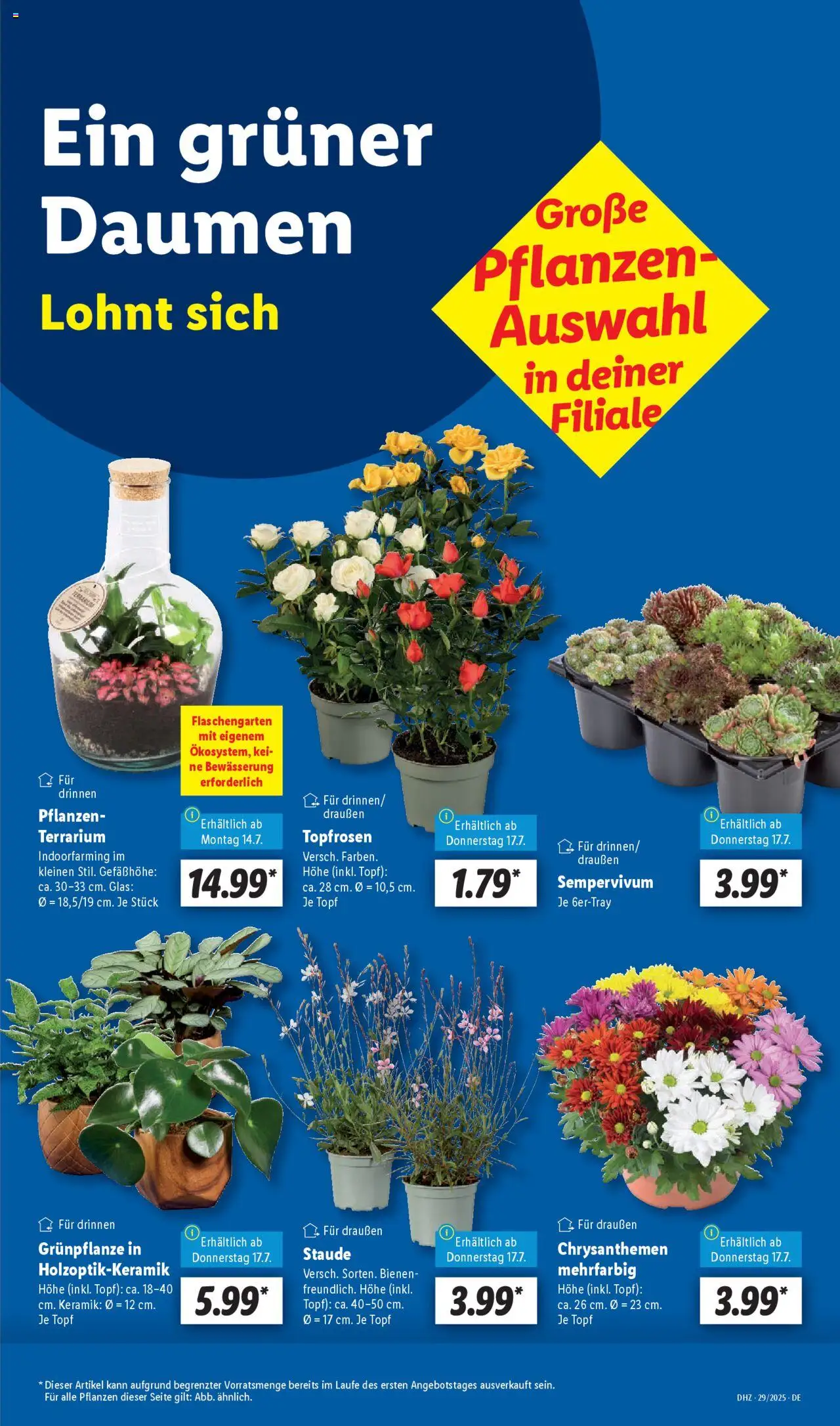 Lidl Prospekt Heppenheim - gültig ab dem 14.07.2025 | Seite: 17