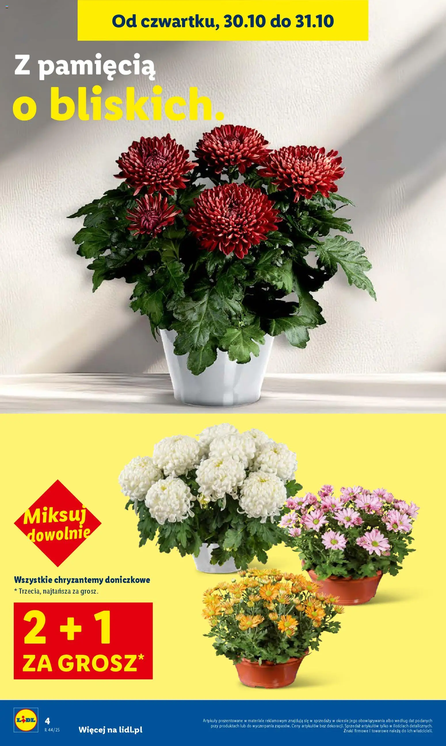 Lidl Gazetka od 30.10.2025 | Strona: 4 | Produkty: Chryzantemy