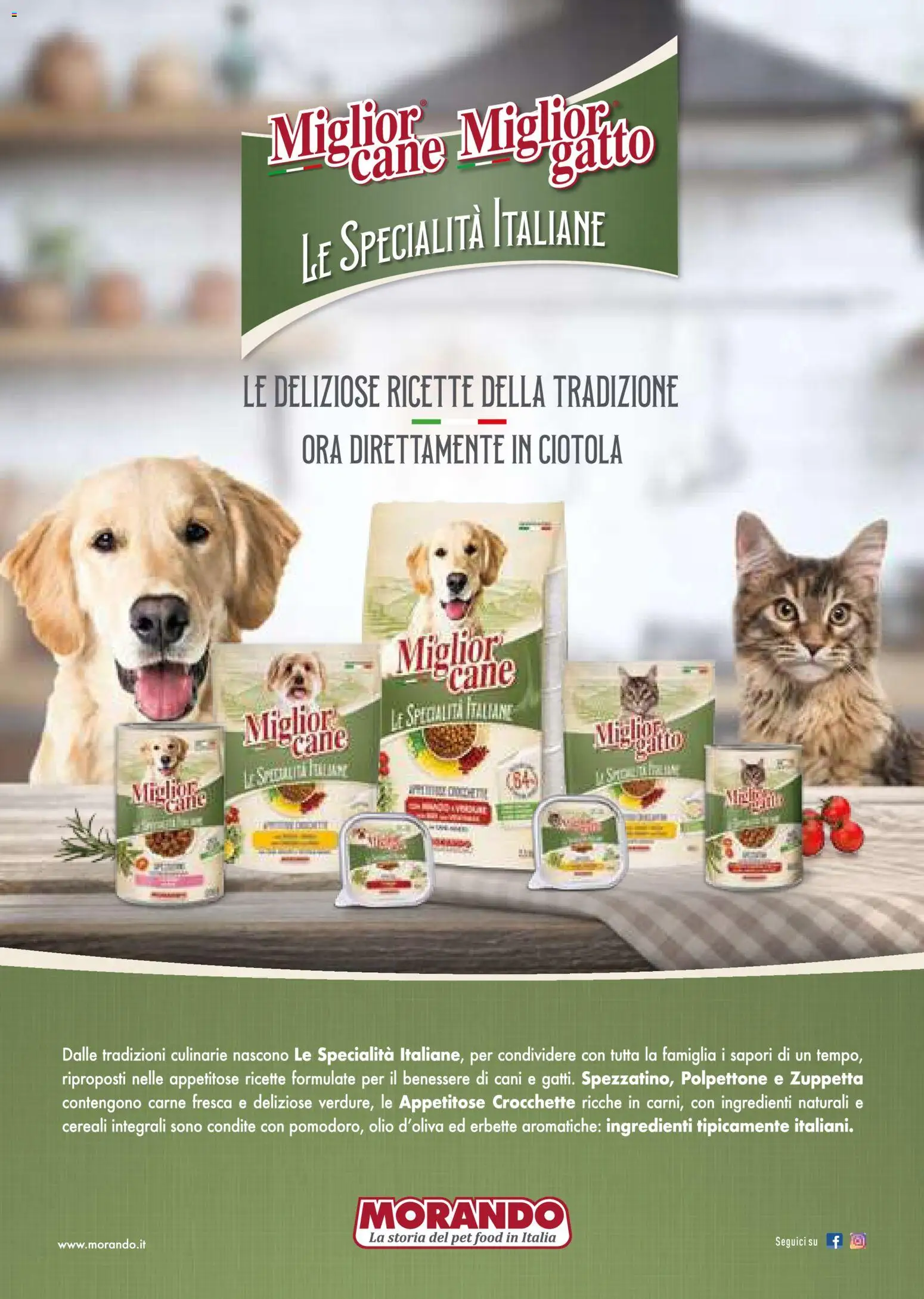 Volantino Gulliver del 01.01.2026 | Pagina: 87 | Prodotti: Cereali, Olio, Crocchette, Ciotola