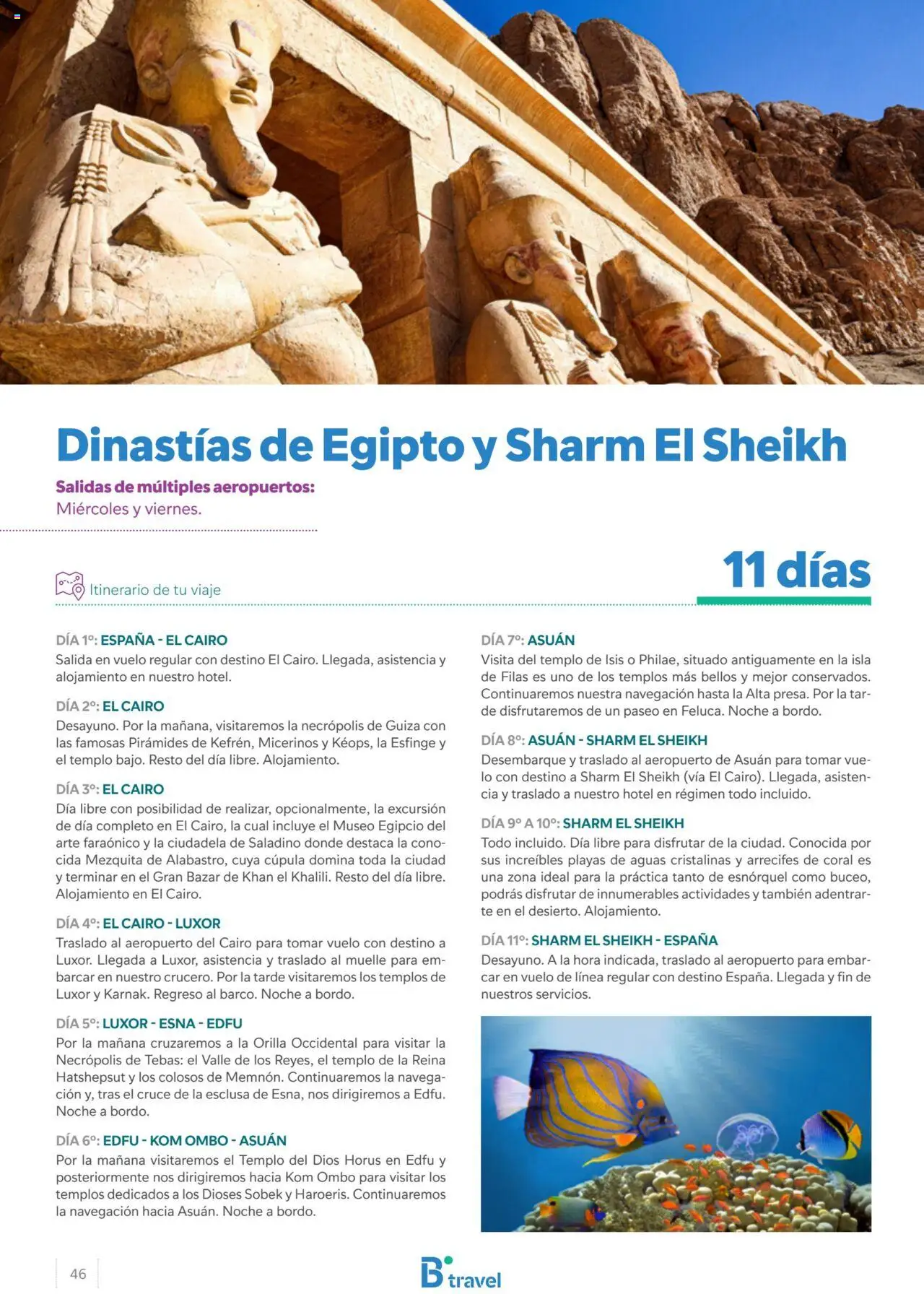 B the travel brand Egipto │ válido desde el 15.04.2024 | Página: 46 | Productos: Té, Navegación