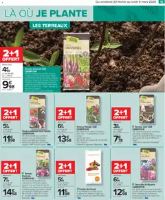 Carrefour - Prévisualisation de Carrefour Jardin valide à partir de 20.02.2026 | Page: 17