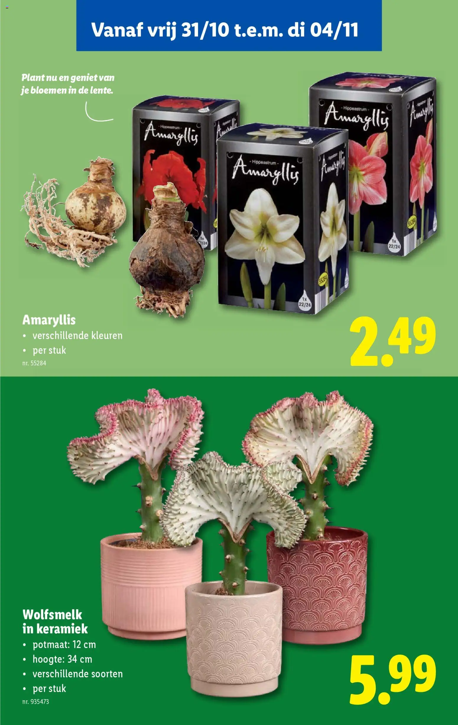 {H1} | Pagina: 55 | Producten: Bloemen, Keramiek