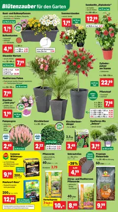 Thomas Philipps Prospekt ab 20.04.2026 gültig | Seite: 6 | Produkte: Pflanzerde