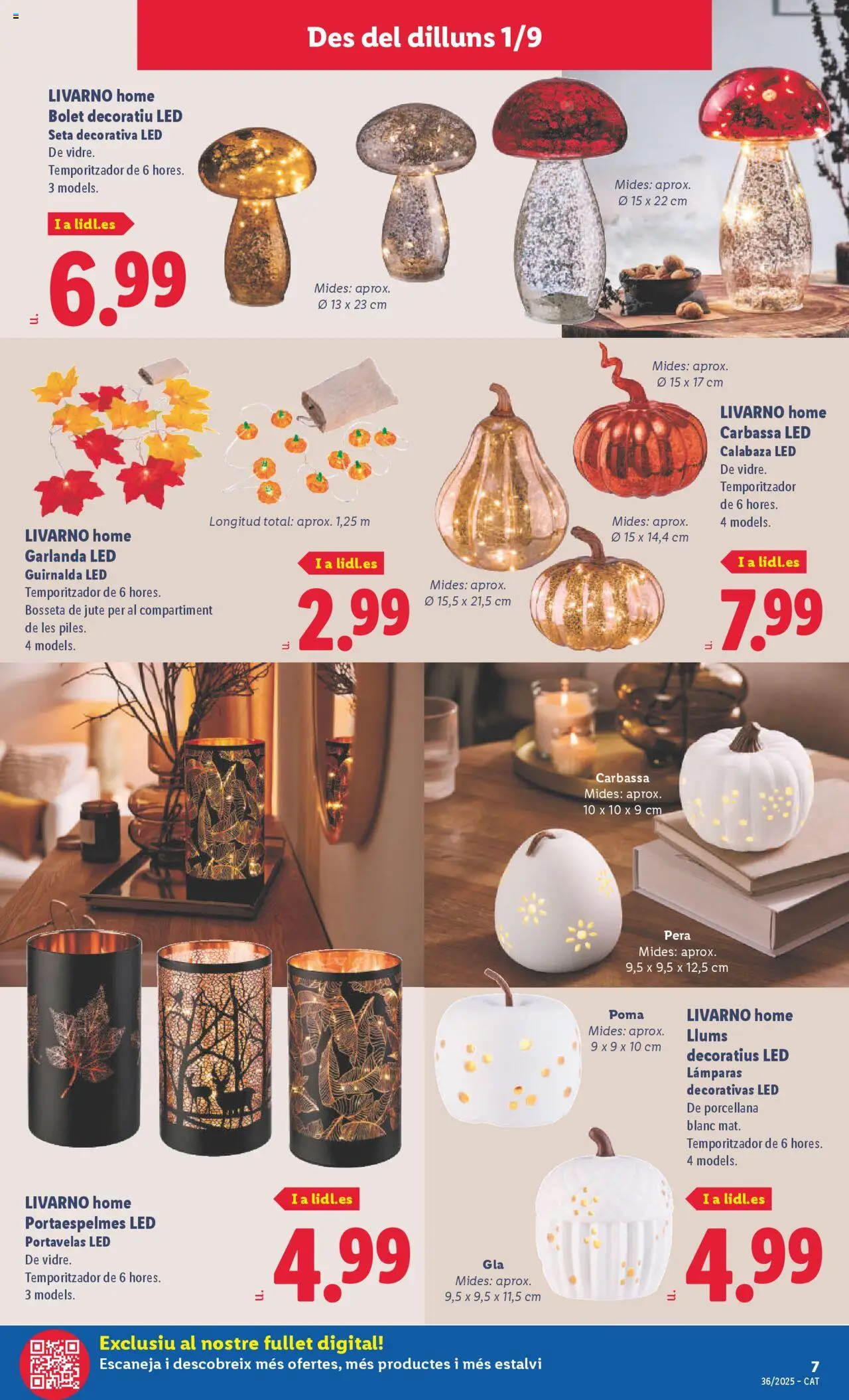 Lidl folleto de bazar │ válido desde el 01.09.2025 | Página: 7 | Productos: Πράσινο τσάι, Απορρυπαντικό ρούχων σε σκόνη