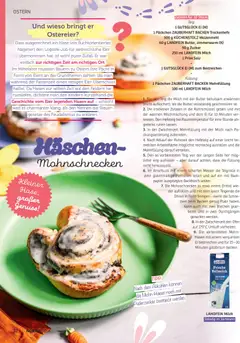 Norma NORMAgazin März/April 2026 ab 01.03.2026 gültig | Seite: 32 | Produkte: Milch, Butter, Eier, Weizenmehl